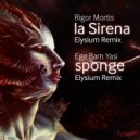 Ege Bam Yasi - Sponge