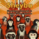 Sheyba - Trance Africa Express