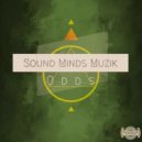 Sound Minds Muzik - Retrophonik Phase