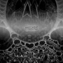 Anechoic - In Conjunction With After Life