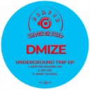 DMIZE - Keep Me Holding On