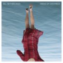 Bill Netherlands - Grace Before Landing (Original Mix)