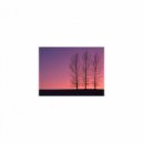 Mindfulness Healing Sleep BGM Project - Descartes and sleep (Sleep BGM)