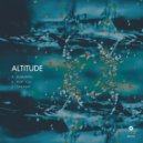 Altitude - Hurt You