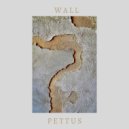 Pettus - WALL (Original Mix)