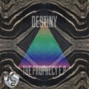 Destiny - Through The Dark (Original Mix)