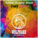 Robert Shrigley Woolf - Slipstream