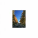 Mindfulness Healing Sleep BGM Project - Thursday and Rest (Sleep BGM)