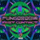 Fungosodia - Buchla63 Legacy
