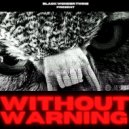 Black Wonder Twins - Without Warning (Original Mix)