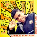 Little Harada - Stone In Love (Original Mix)