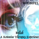 Wriddyl - Sorting it Out ()