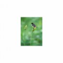 Mindfulness Healing Sleep BGM Project - Rotation and Self-control (Sleep BGM)