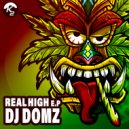 DJ Domz - Searching (Original Mix)