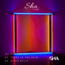 SHA - Around The World