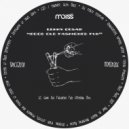 Lenny Cesar - Good Old Fashioned Fun (Original Mix)