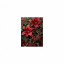 Mindfulness Healing Sleep BGM Project - Cyclamen & BGM (Sleep BGM)