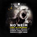 No Neim - Lost In The Dark (Gabriel WNZ Remix)