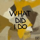 Dor Dekel, IDA fLO - What Did I Do