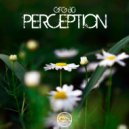 GFG 80 - Percepcion