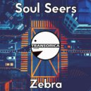 Soul Seers - Zebra