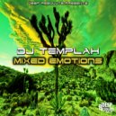 DJ Templah - The Jungle.
