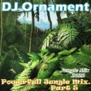 DJ Ornament - Powerfull Jungle Mix. Part 5
