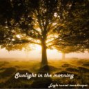 Eagle sunset soundscapes - Sunlight in the Morning