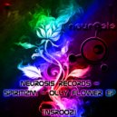 Spiritizm - Autumn Leaves ()