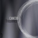 Canedo - Music (Original mix)