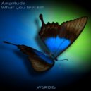 Amplitude  - What You Feel ()