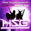 Profane - The System Experience ()