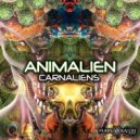 Farbo & Animalien - Fractal Dust (Original mix)