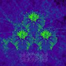 Peyote People - 3Dreams (Original Mix)