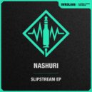 NASHURI - Depolarization (Original Mix)