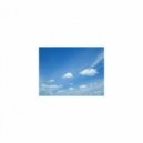 Mindfulness Healing Sleep BGM Project - Wild Lettuce & Refresh (Sleep BGM)