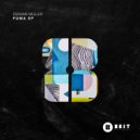 Demian Muller - Creation