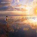 VA / Mixed by D&mON - POSiTiVE TERRiTORY / CHiLLGRESSiVE