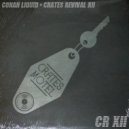 Conan Liquid - Pierre\'s Journey (Original Mix)