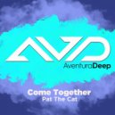 Pat The Cat - Come Together