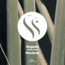 Reedook - Organic (Original Mix)