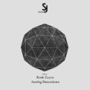 Rode Zayas - Analog Sensations (Original Mix)