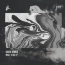 David Berrie - What To Do (Original Mix)