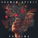 Shaman Spirit - Proxima (original mix)