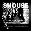 Shouse Vs. Sidekick & David Guetta - Love Deep Tonight