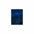 Mindfulness Healing Sleep BGM Project - Sunset & Hearing (Sleep BGM)
