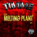 Timme - Affirmative