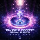 Transient Disorder & Spinal Fusion - Strange Lights