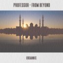 Professor (RO) - From Beyond