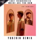 Lost Frequencies feat. Calum Scott - Where Are You Now